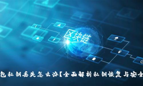 TP钱包私钥丢失怎么办？全面解析私钥恢复与安全防护