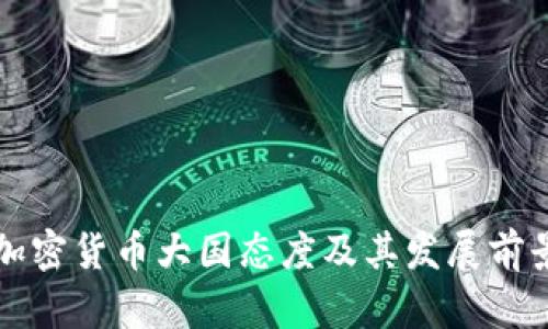 全球加密货币大国态度及其发展前景分析