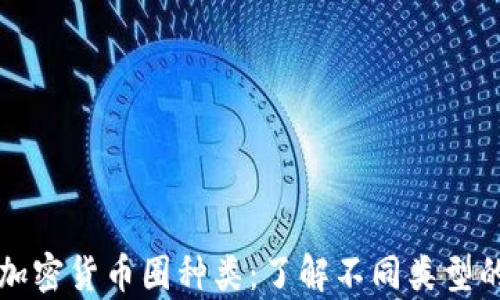 
全面解析加密货币圈种类：了解不同类型的数字资产