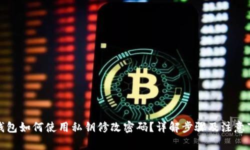 TP钱包如何使用私钥修改密码？详解步骤及注意事项