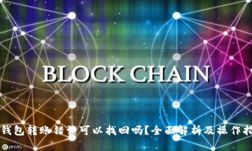 TP钱包转账错误可以找回吗？全面解析及操作指南