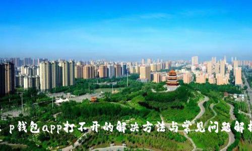 t p钱包app打不开的解决方法与常见问题解析