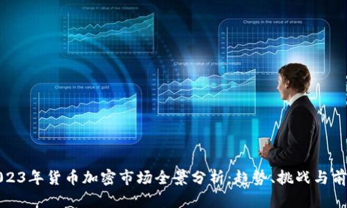 2023年货币加密市场全景分析：趋势、挑战与前景