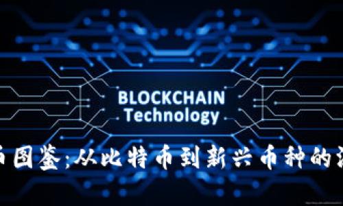 : 全面解析加密货币图鉴：从比特币到新兴币种的深入分析与投资建议