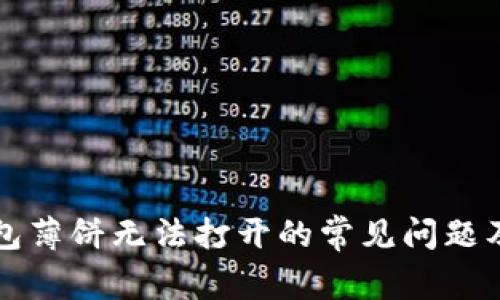 解决TP钱包薄饼无法打开的常见问题及解决方案