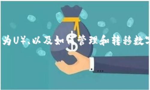 在这个“t p钱包里的U被转入OK”的话题中，我们将深入探讨有关TP钱包、USDT（通常称为U）、以及如何管理和转移数字货币的相关信息。这篇文章将提供系统的解答和见解，帮助读者更好地理解这一领域。

TP钱包与USDT转移：安全性、便捷性及注意事项