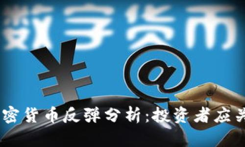 : 2023年数字加密货币反弹分析：投资者应关注的趋势与机会