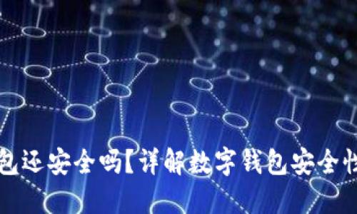 被盗的TP钱包还安全吗？详解数字钱包安全性与风险防范
