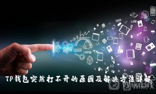 TP钱包突然打不开的原因及解决方法详解