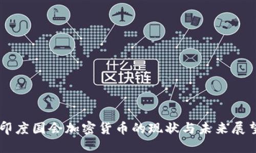 印度国会加密货币的现状与未来展望
