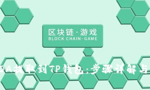 如何将ADA提取到TP钱包：步骤详解与注意事项