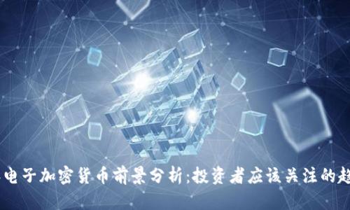 : 2024年电子加密货币前景分析：投资者应该关注的趋势与机会