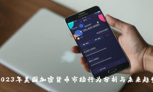2023年美国加密货币市场行为分析与未来趋势