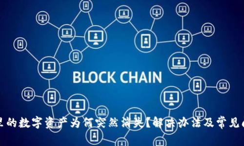 TP钱包里的数字资产为何突然消失？解决办法及常见问题解析
