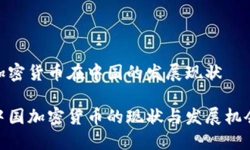 加密货币在中国的发展现状

中国加密货币的现状与发展机会