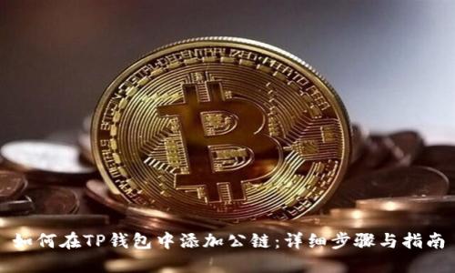 如何在TP钱包中添加公链：详细步骤与指南