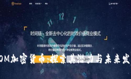 DOM加密货币：探索其潜力与未来发展