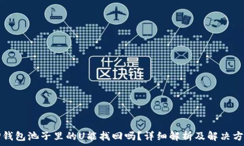   
TP钱包池子里的U能找回吗？详细解析及解决方案