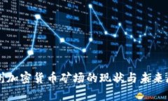 贵州加密货币矿场的现状与未来展望