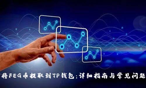 如何将FEG币提取到TP钱包：详细指南与常见问题解答