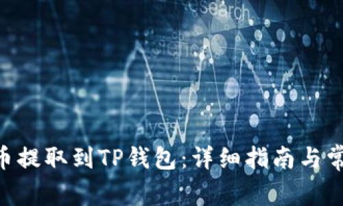 如何将FEG币提取到TP钱包：详细指南与常见问题解答