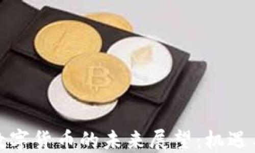
加密数字货币的未来展望：机遇与挑战