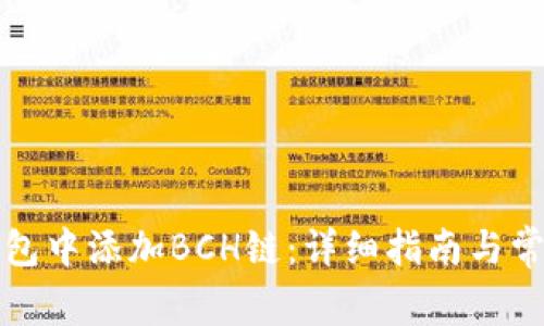 如何在TP钱包中添加BCH链：详细指南与常见问题解答