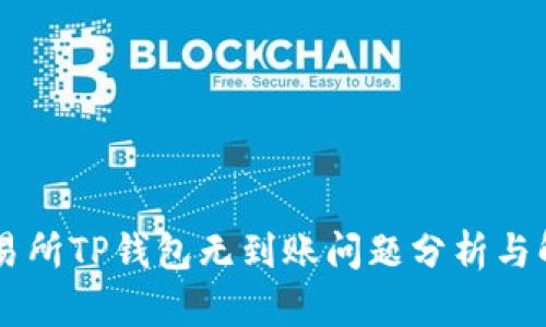 币安交易所TP钱包无到账问题分析与解决方案