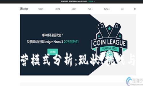 国内加密货币运营模式分析：现状、挑战与未来发展趋势