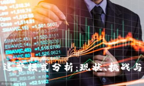 国内加密货币运营模式分析：现状、挑战与未来发展趋势