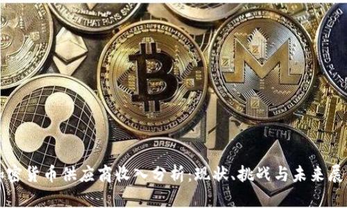 加密货币供应商收入分析：现状、挑战与未来展望