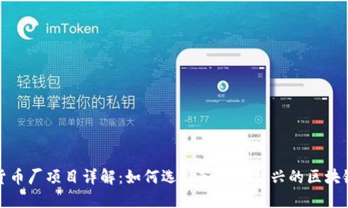 加密货币厂项目详解：如何选择和投资新兴的区块链商业