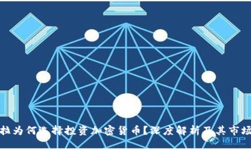 特斯拉为何选择投资加密货币？深度解析及其市场影响