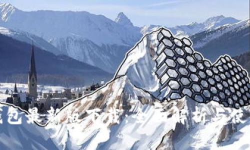 : TP钱包最新版下载：全面解析与使用指南