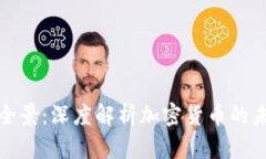 加密货币全景：深度解析加密货币的未来与挑战