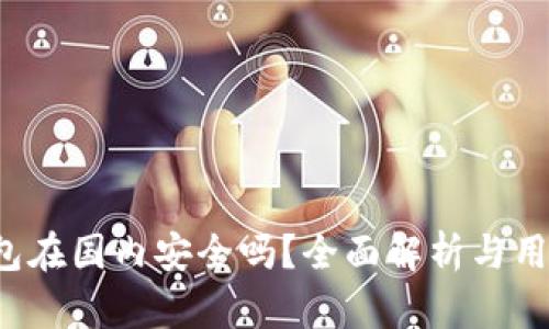 t p钱包在国内安全吗？全面解析与用户指南