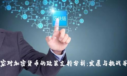 国家对加密货币的政策支持分析：发展与挑战并存