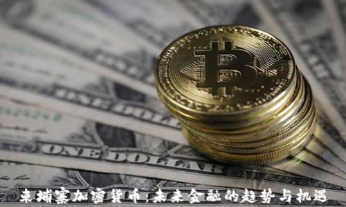 
柬埔寨加密货币：未来金融的趋势与机遇