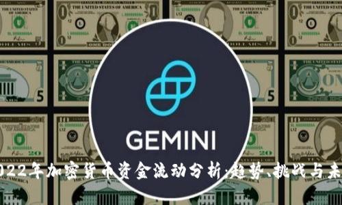 2022年加密货币资金流动分析：趋势、挑战与未来