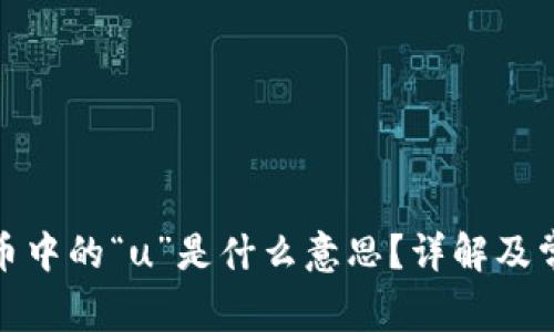 加密货币中的“u”是什么意思？详解及常见问题