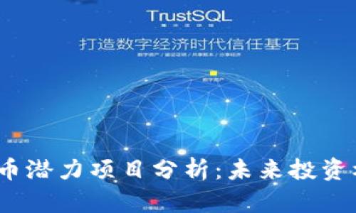 2023年加密货币潜力项目分析：未来投资机会与风险评估