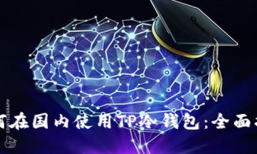 如何在国内使用TP冷钱包：全面指南