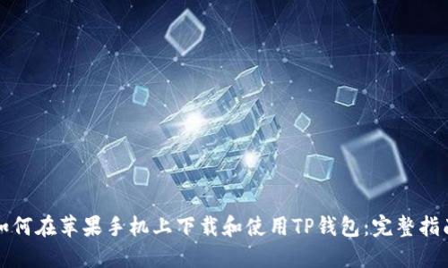 如何在苹果手机上下载和使用TP钱包：完整指南