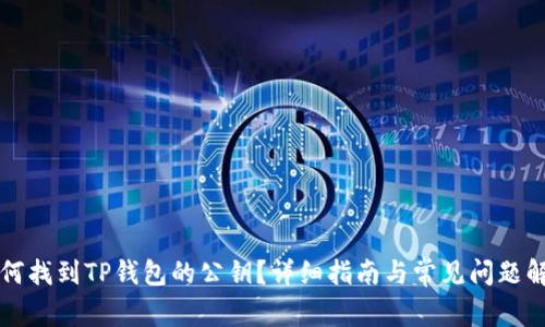 如何找到TP钱包的公钥？详细指南与常见问题解析