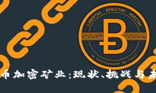 美国货币加密矿业：现状、挑战与未来发展