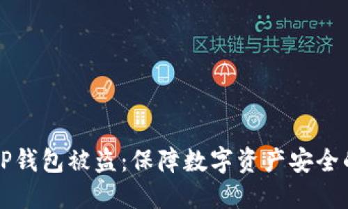 如何防止TP钱包被盗：保障数字资产安全的实用指南