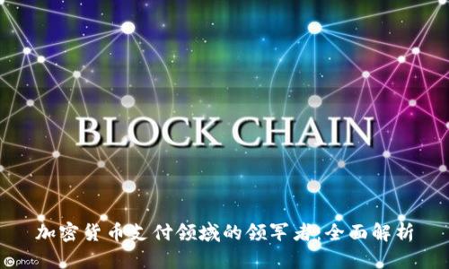 加密货币支付领域的领军者：全面解析
