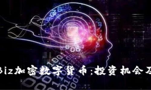 深入解析Biz加密数字货币：投资机会及潜在风险