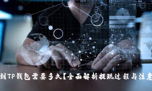 提现到TP钱包需要多久？全面解析提现过程与注意事项