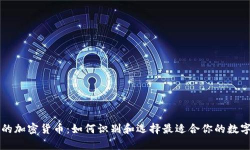 真正的加密货币：如何识别和选择最适合你的数字资产